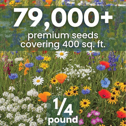 California Regional Mix – 79,000 Seeds for Planting – 2026 Season – 4 Ounce Pouch