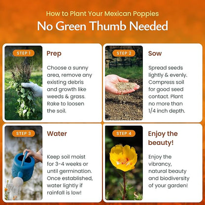Created By Nature Mexican Poppy Seeds, 1,620 Annual Wildflower Seeds