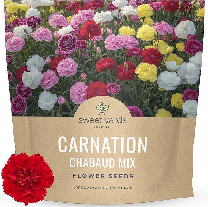 Carnation Chabaud Mix – Large 1/4 Ounce Seed Packet – 4,000 Flower Seeds for Planting – Dianthus caryophyllus
