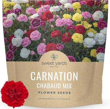 Carnation Chabaud Mix – Large 1/4 Ounce Seed Packet – 4,000 Flower Seeds for Planting – Dianthus caryophyllus