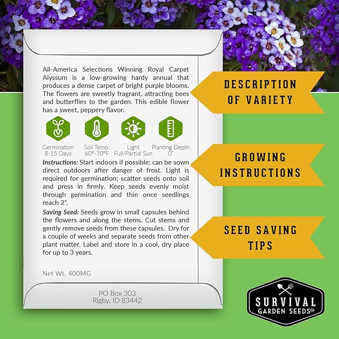 Alyssum Seeds for Planting - Sweet Royal Carpet Purple Alyssum - Fragrant Perennial Flower & Ground Cover - Heirloom Non-GMO - Survival Garden Seeds (5 Packs)