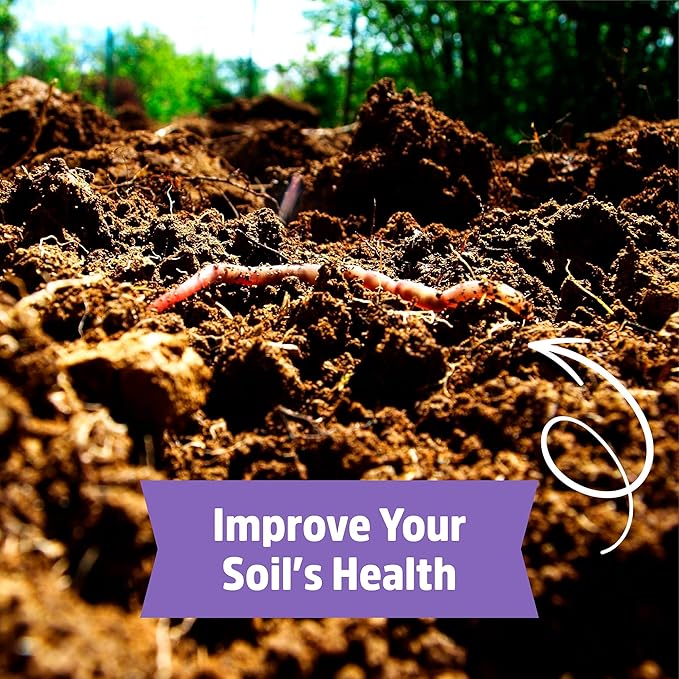 Back to The Roots 100% Organic Hairy Vetch Cover Crop Seeds, Covers ~1000 sq. ft.