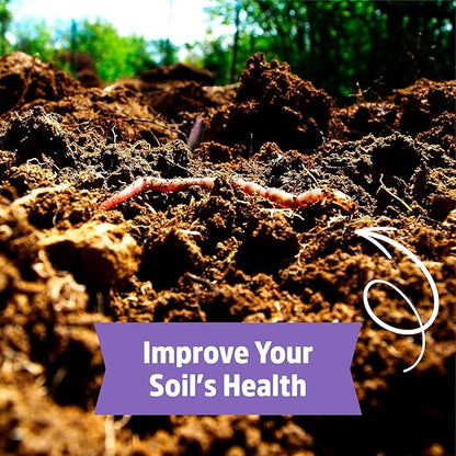 Back to The Roots 100% Organic Hairy Vetch Cover Crop Seeds, Covers ~1000 sq. ft.
