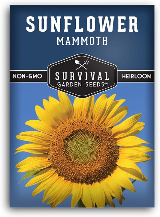 Mammoth Sunflower Seeds for Planting | Giant 12 ft Plants with Edible Seed Harvest – Heirloom Non-GMO – Survival Garden Seeds (1 Pack)