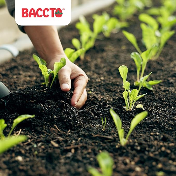 Michigan Peat 1550P Baccto Top Soil for Lawns, Gardens, and Raised Planting Beds with Reed Sedge, Peat, and Sand, 50 Pounds (3 Pack)