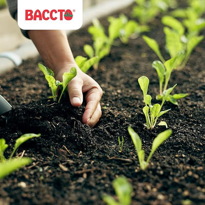 Michigan Peat 50 Pound Baccto Top Soil for Lawns, Gardens, and Raised Planting Beds with Reed Sedge, Peat, and Sand, (4 Pack)