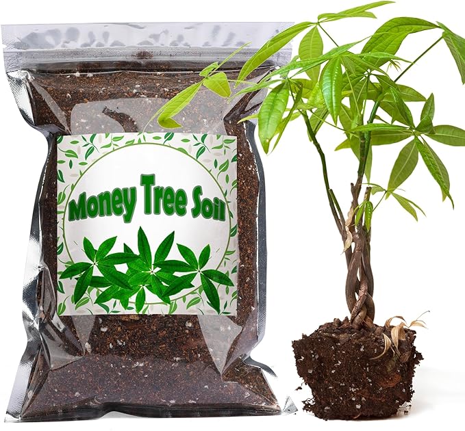Organic Money Tree Soil Mix 10qt, Indoor Plants Potting Mix for All Potted Money Tree, Grow Healthy houseplants Indoors