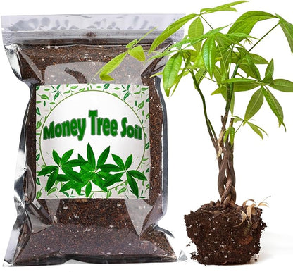 Organic Money Tree Soil Mix 4qt, Indoor Plants Potting Mix for All Potted Money Tree, Grow Healthy houseplants Indoors