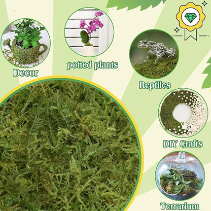 Halatool 2.2LBS Forest Green Moss for Indoor Potted Plants, Orchid Potting Mix, Indoor Potting Plant Moss for Repotting Terrariums Garden Reptiles