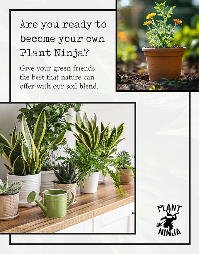 Ultimate Soil Blend, Plant Soil for 6” Pot, Potting Soil for Houseplants, Indoor Plants, and Outdoor Plants, Gardening Supplies, Plant Food, Plant Fertilizer, with Perlite