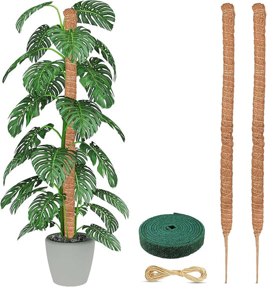 EcoNour Tall Moss Pole for Plants (2-Pack) 63-Inch | Large Monstera Plant Support for Climbing and Growth | Elevate Your Indoor Garden | Tall Plant Support for Indoor Potted Plants to Grow Upwards