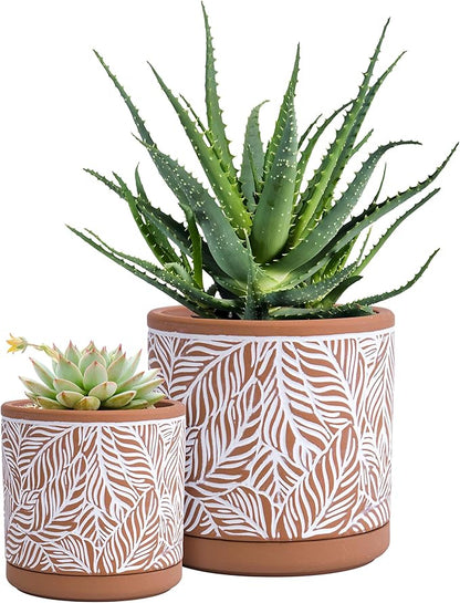 D'vine Dev Set of 2 Terracotta Pots, Leaf Pattern Planter Pot, 4 Inch and 6 Inch, Pot with Drainage Hole and Saucer, Terracotta/White, 31-958-T-1