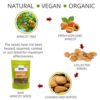 Bitter Apricot Seeds/Kernels, Natural Source of Vitamin B17, Large and Raw, Vegan, Non GMO California Grown, In a Recyclable Stay Fresh Resealable Pouch 1lb