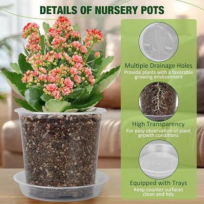 10/8/6/4 Inch Clear Nursery Pots with Drainage Holes and Saucers, 12 Pack Clear Pots for Plants Variety Pack, Seedling Pots for Succulents, Herbs, Flowers, Vegetables
