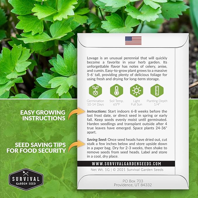 Survival Garden Seeds - Lovage Seed for Planting - 2 Packs with Instructions to Plant and Grow Perennial Levisticum Officinale Culinary Herb in Your Home Vegetable Garden - Non-GMO Heirloom Variety