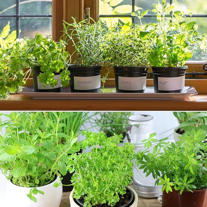 Organic Potting Soil Mix for All Indoor & Outdoor Small Containers Including Herbs, Vegetables, and Flowers 1 qt
