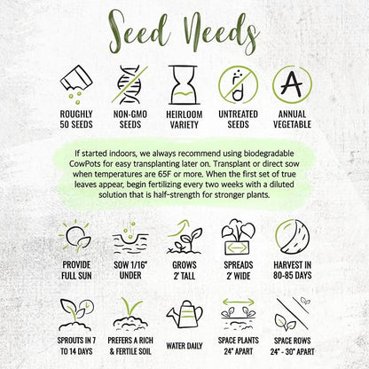 Seed Needs Tomatillo Seeds for Planting Grande Rio Verde Tomatillos - Non-GMO Heirloom & Untreated - Grow a Home Grown Outdoor Vegetable Garden - Great for Salsa & Mexican Cuisine (5 Packs)
