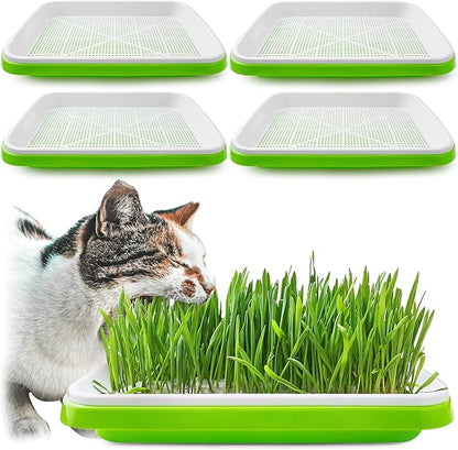 Pack 4 Seed Sprouter Tray with Drain Holes,Seed Germination Tray Kit BPA Free Nursery Trays,Soil-Free Big Capacity Healthy Wheatgrass Grower Sprouting Container Kit