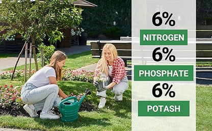 6-6-6 All-Purpose Professional Plant Food Fertilizer; Ideal for Winter Care & Spring Feeding, Perfect Balanced NPK for Indoor and Outdoor Plants (20 QUARTS)
