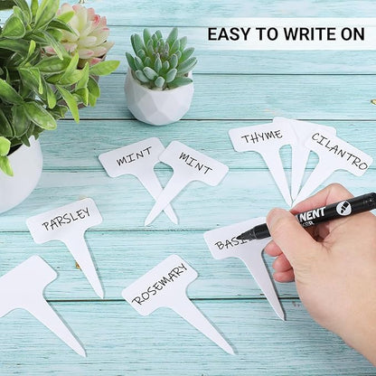 Greaner Plastic Plant Tags, 300 PCS Plant Markers for Outdoor Plants Waterproof, Plant Identification Stakes for Indoor Outdoor Plants, Vegetable Gardening Tags(White, 6x10cm)