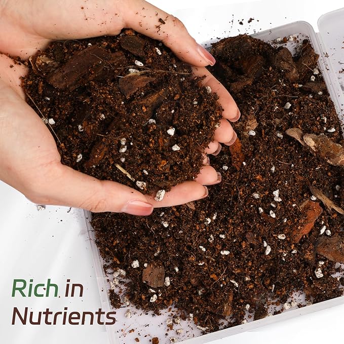 Organic Fiddle Leaf Fig Potting Mix 4qt, Indoor Plants Potting Mix for All Potted Ficus Lyrata Plant, Grow Healthy houseplants Indoors