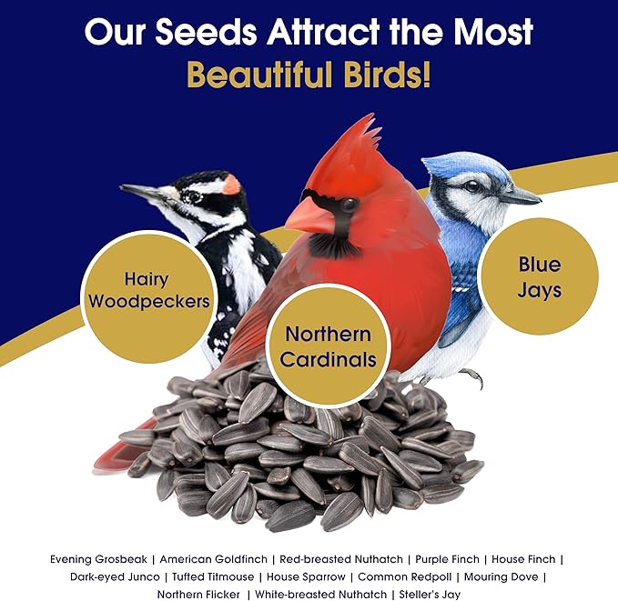 Black Oil Sunflower Seeds for Birds 35.3 Pounds, Wild Bird Seed for Outside Feeders, Great for Northern Cardinals, Blue Jays and Hairy Woodpeckers, Wild Bird Food 35.3lbs