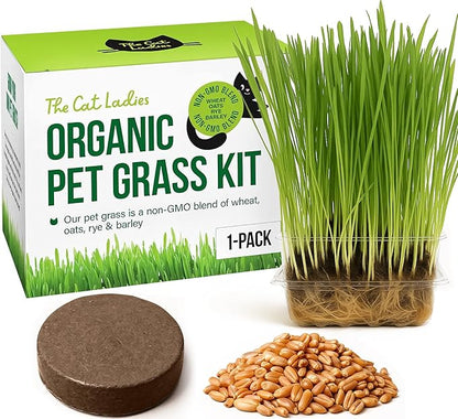 The Cat Ladies Cat Grass Growing Kit - Organic Seed, Soil and BPA Free containers (Non GMO) - All of Our Seeds are Locally Sourced - 1 Pack