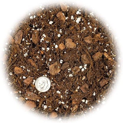 Premium Gardenera House Plant Potting Mix | Fern + New Zealand Bark + Perlite | Great for Pothos, Spider Plants, Montsera, Philodendron, English Ivy - 2 Quart Bag