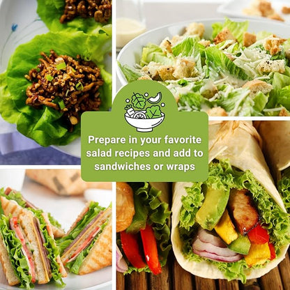 Sow Right Seeds - Large Lettuce Seed Collection for Planting - Buttercrunch, Jericho, Iceberg, Salad Bowl, Little Gem, Black-Seeded Simpson, Lolla Rosa - Non-GMO Heirloom - Outdoors or Hydroponics