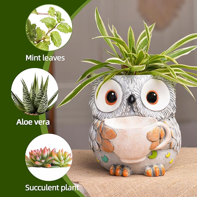 Unique Owl Plant Pots Indoor, Cute Small Succulent Pots with Drainage Hole, Watering Owl Planters for Indoor Outdoor Plants, Resin Flower Pot for String of Pearls, Gift Ideas for Mother