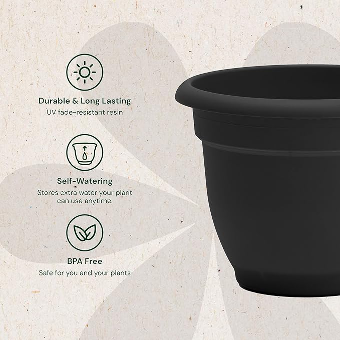 Bloem Ariana 10" Black Round Self-Watering Resin Planter Pot - Rolled Rim Indoor and Outdoor Gardening Planter