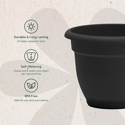 Bloem Ariana 10" Black Round Self-Watering Resin Planter Pot - Rolled Rim Indoor and Outdoor Gardening Planter