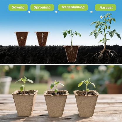 200 Cells Peat Pots, Seed Starter Trays Planting Trays for Seedlings, 20 Pack Germination Trays Peat Pot with 20 Labels