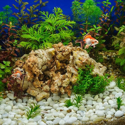 40 lbs White River Rocks for Landscaping, 2-3 Inch Polished Pebbles for Indoor Plants, Decorative White Stones for Planters, Vase, Aquarium, Fish Tank and Garden