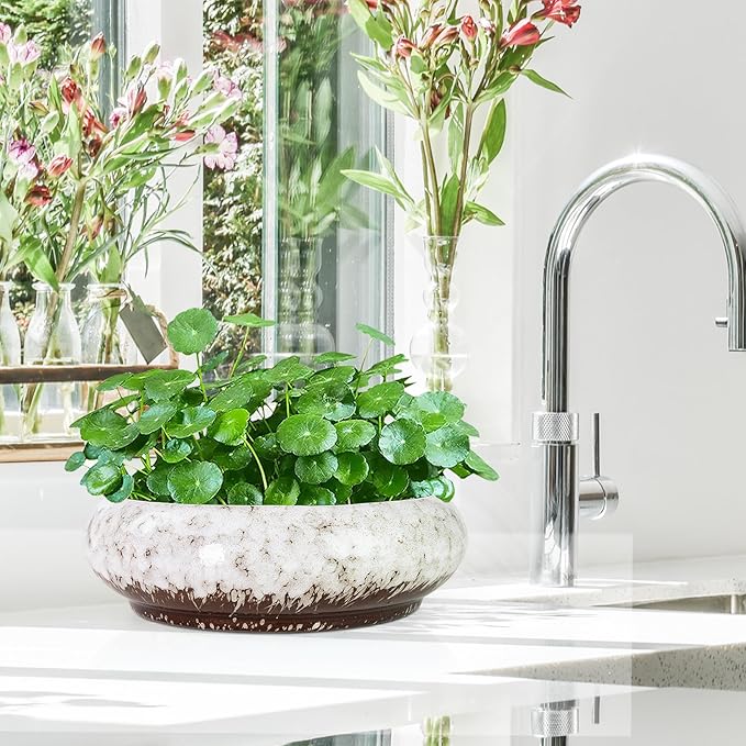 Lotus Bowl Planter - 7.3 Inch Large Lotus Flower Bowl for Water Plants, Ceramic Hydroponic Planter Water Lily Bowl for Planting Aquatic and Indoor Succulent Plants and Bonsai