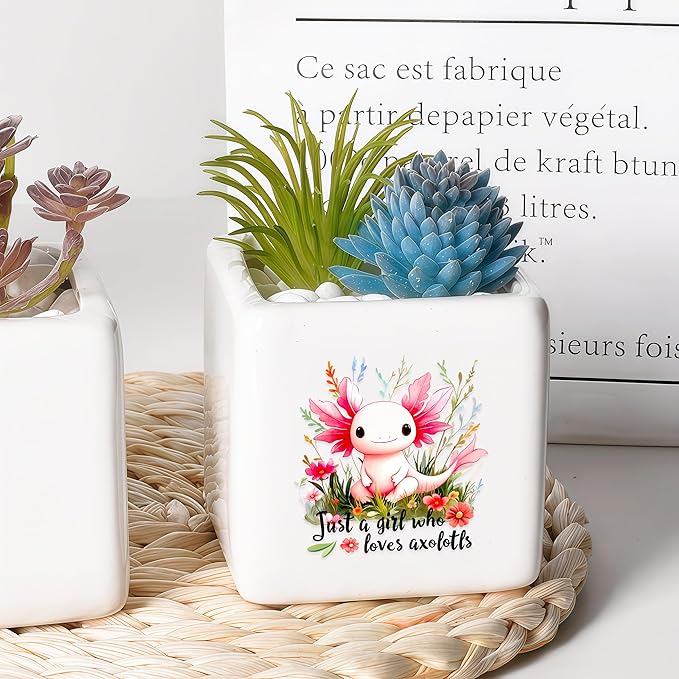 Axolotl Succulent Planter Flower Plant Pot Small, Gifts for Women Teens Girls Kids, Axolotl Lovers Themed Stuff Accessories Things Decor Merch, Home Office Table Desk Decoration!