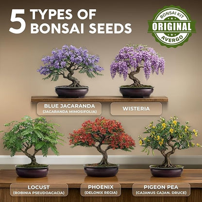 DIY Bonsai Tree Kit for Beginners – 5X Unique Japanese Bonzai Trees, Complete Indoor Bonsai Starter Kit for Growing Bonsai Plants w/Tools & Planters – DIY Christmas Gardening Gifts for Mom