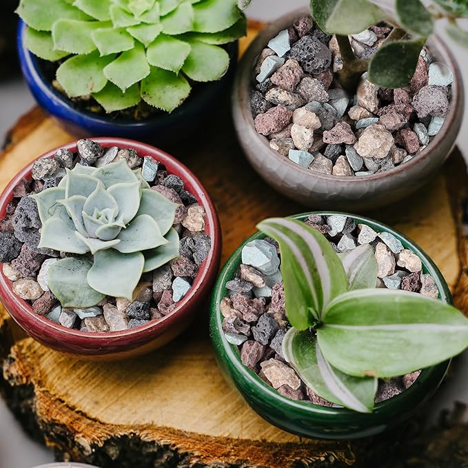 20lbs Mix Horticultural Lava Rocks for Plants, 3/8 Inch Potting Soil Amendment for Succulents, Cacti, Bonsai, Decorative Gravel Plant Drainage Volcanic for Terrarium, Top Dressing