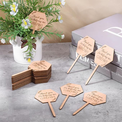 30Pcs Thank You for Helping Me Grow Succulent Tags Wedding Favors, Hexagon Baby Succulents Favors Tags Wooden Plant Labels, Teachers Appreciation Gift Wooden Garden Stakes Thanksgiving Gift Tag