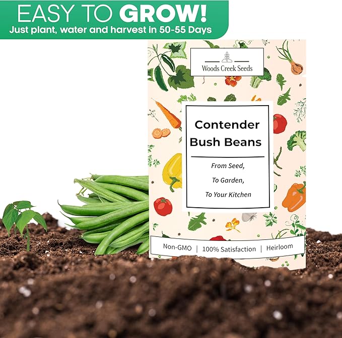 Contender Bush Bean Seeds – Heirloom Non-GMO Green Snap Bean Seeds for Planting, Early Stringless Bush Beans for Vegetable Gardens | Woods Creek Seeds