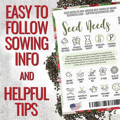 Seed Needs, Scarlet Red Sage Seeds - 800 Heirloom Seeds for Planting Salvia coccinea - Perennial Wildflower for an Outdoor Garden, Open Pollinated & Attracts Pollinators (5 Packs)