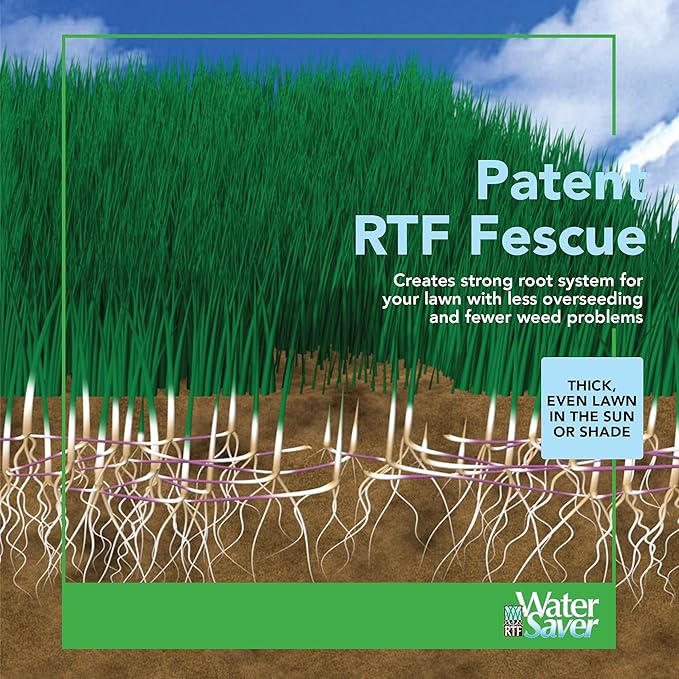 WaterSaver Grass Mixture with Turf-Type Tall Fescue Used to Seed New Lawn and Patch Up Jobs-Grows in Sun or Shade, 1.5 lbs - Covers 1/100 Acre