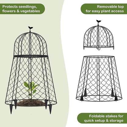 (6 Packs) 13" D x 20" H Garden Cloches for Plants, Chicken Wire Cloche, Plant Cloche and Cage, Wire Plant Protector, Protection for Your Plants and Seedlings - Black