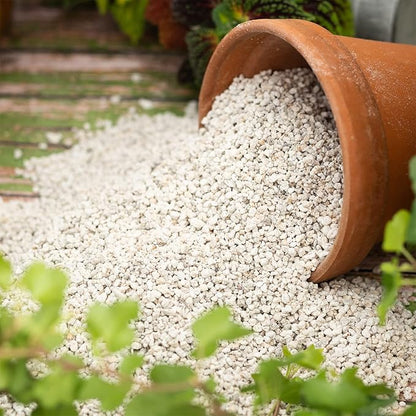 Organic Perlite for Plants, Soil Amendment for Enhanced Drainage and Growth, Ideal for Potting Mixes (1 Quart) (Pack of 2)