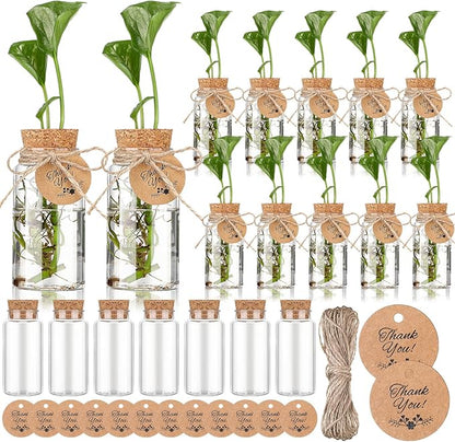 Baderke 24 Pack 3.54'' Plastic Plant Propagation Stations with Hole Lid 4oz Planter Vase Clear Propagation Jars with Thank You Tags for Plant Lover Gifts for Women Office Home Garden(24 Pack)