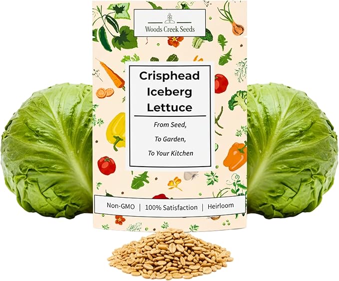 Crisphead Iceberg Lettuce Seeds for Planting - Heirloom, Non-GMO Head Variety with Dense, Crunchy Heads for Fresh Salads, Sandwiches, and Home Garden Growing | Woods Creek Seeds