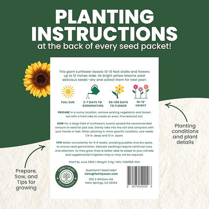 Black Mammoth Sunflower - Large 2,500mg Envelope - 30 Flower Seeds for Planting - Helianthus annuus