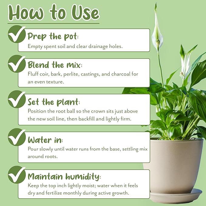 Soil Sunrise Aroid Plant Potting Soil Mix (8 Quarts) for Pothos Devil's Ivy, ZZ Plant, Chinese Evergreen, Dumb Cane Philodendron, Syngonium, Alocasia, Colocasia Etc.