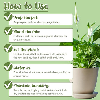 Soil Sunrise Aroid Plant Potting Soil Mix (8 Quarts) for Pothos Devil's Ivy, ZZ Plant, Chinese Evergreen, Dumb Cane Philodendron, Syngonium, Alocasia, Colocasia Etc.