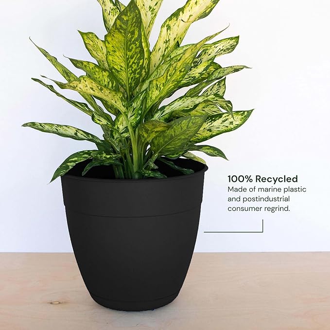 Bloem Dayton Planter with Saucer: 12" - Black - 100% Recycled Plastic Pot, Removable Saucer, Elevated Feet, for Indoor and Outdoor Use, Gardening, 3 Gallon Capacity